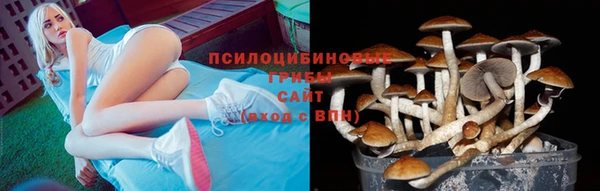 спиды Баксан