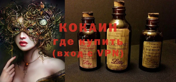 сатива Балахна
