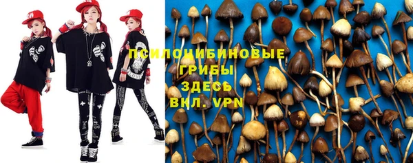 дживик Балабаново