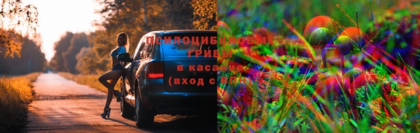 сатива Балахна