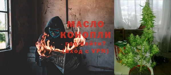 сатива Балахна