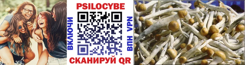 Галлюциногенные грибы Magic Shrooms  Вязьма 